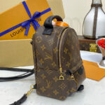 Louis Vuitton Palm Springs Mini M44873 Brown